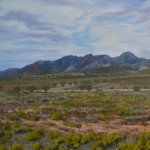 Road to Leigh Creek – western side of Wilpena